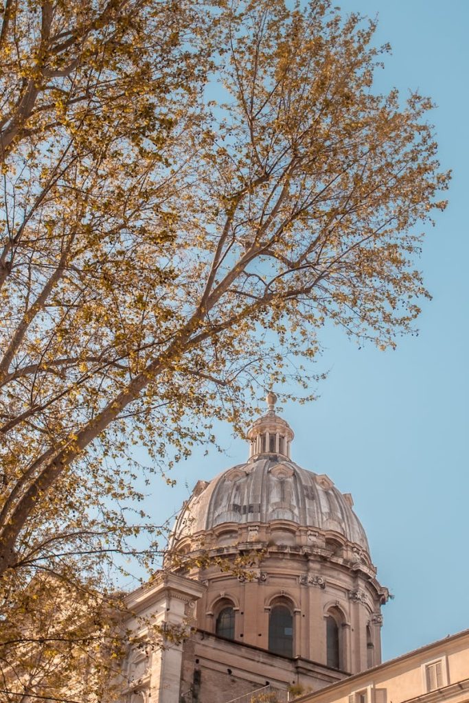 Elegant dome with autumn leaves against a clear sky in Rome, capturing classic architecture.